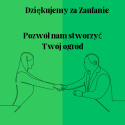 [ML] 40x Kosaciec Irys Zółty P9 Zestaw