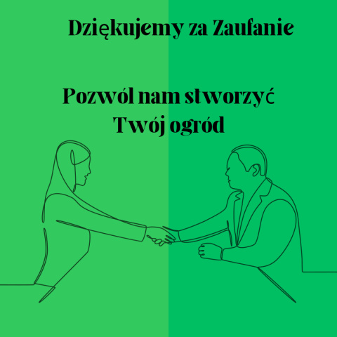Rozplenica Japońska "Moudry" C2 Rozplenica Japońska "Moudry" C2